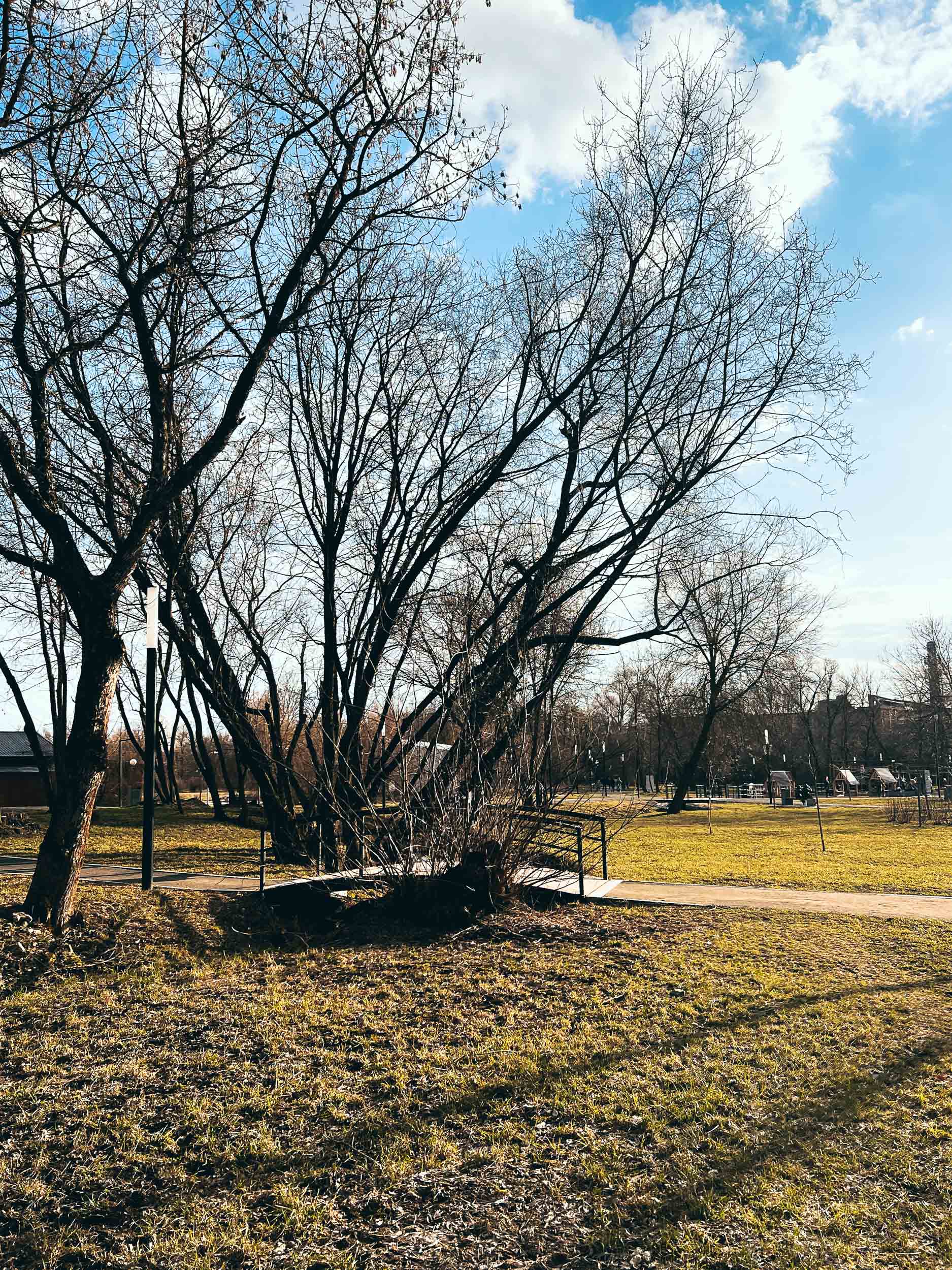 Принарский парк