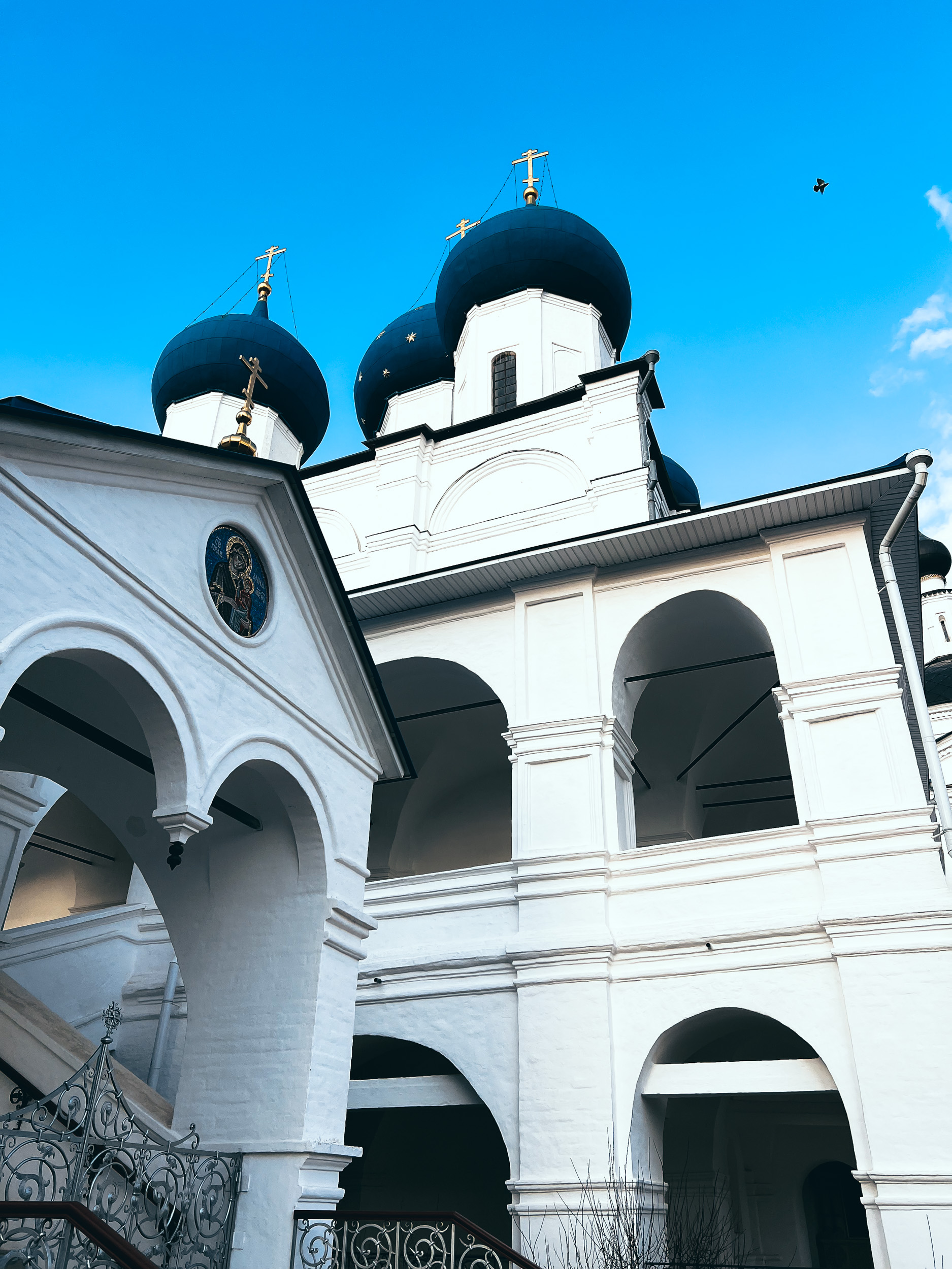 Высоцкий Зачатьевский мужской монастырь