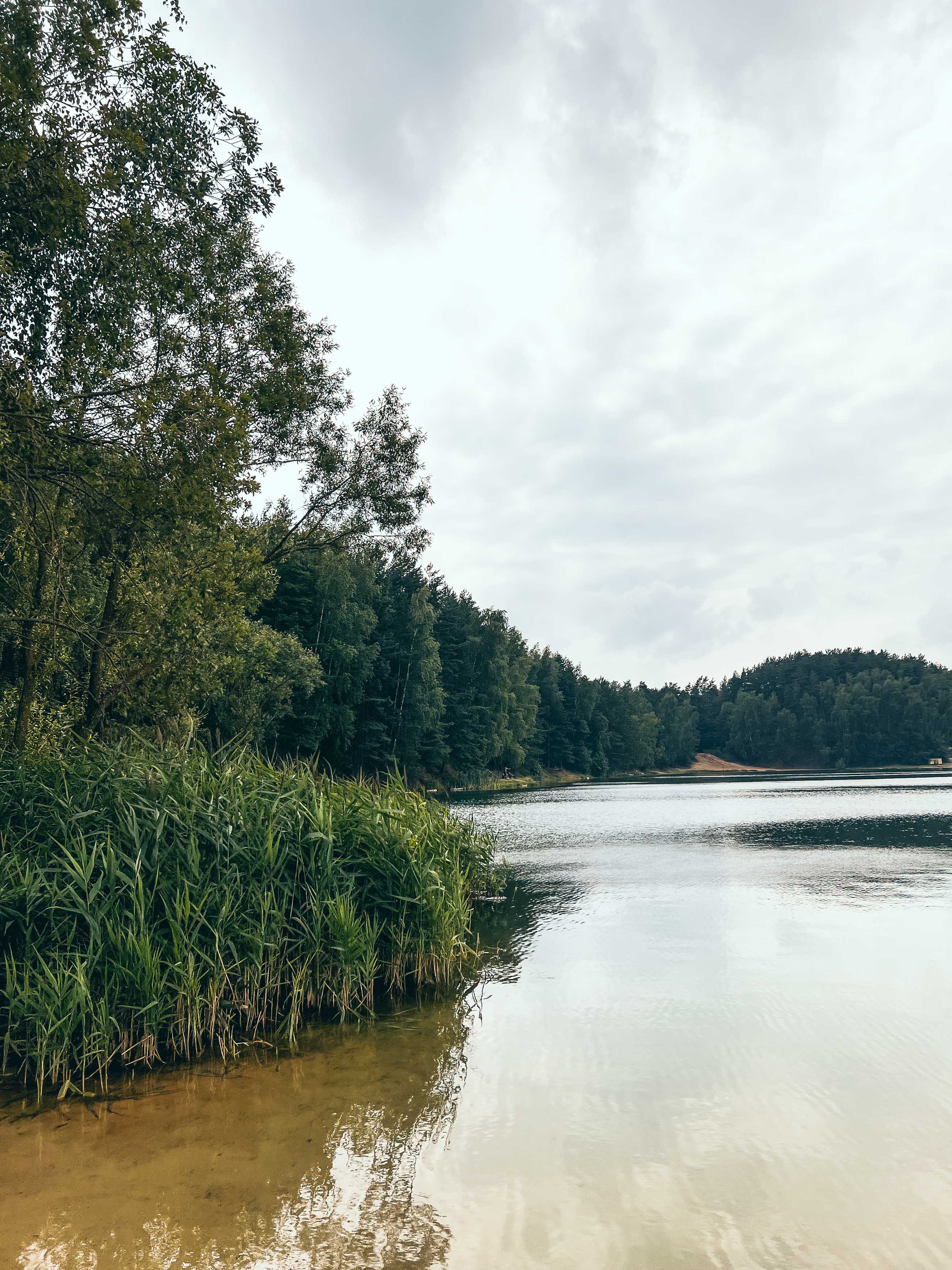 Берег Волкушинского карьера