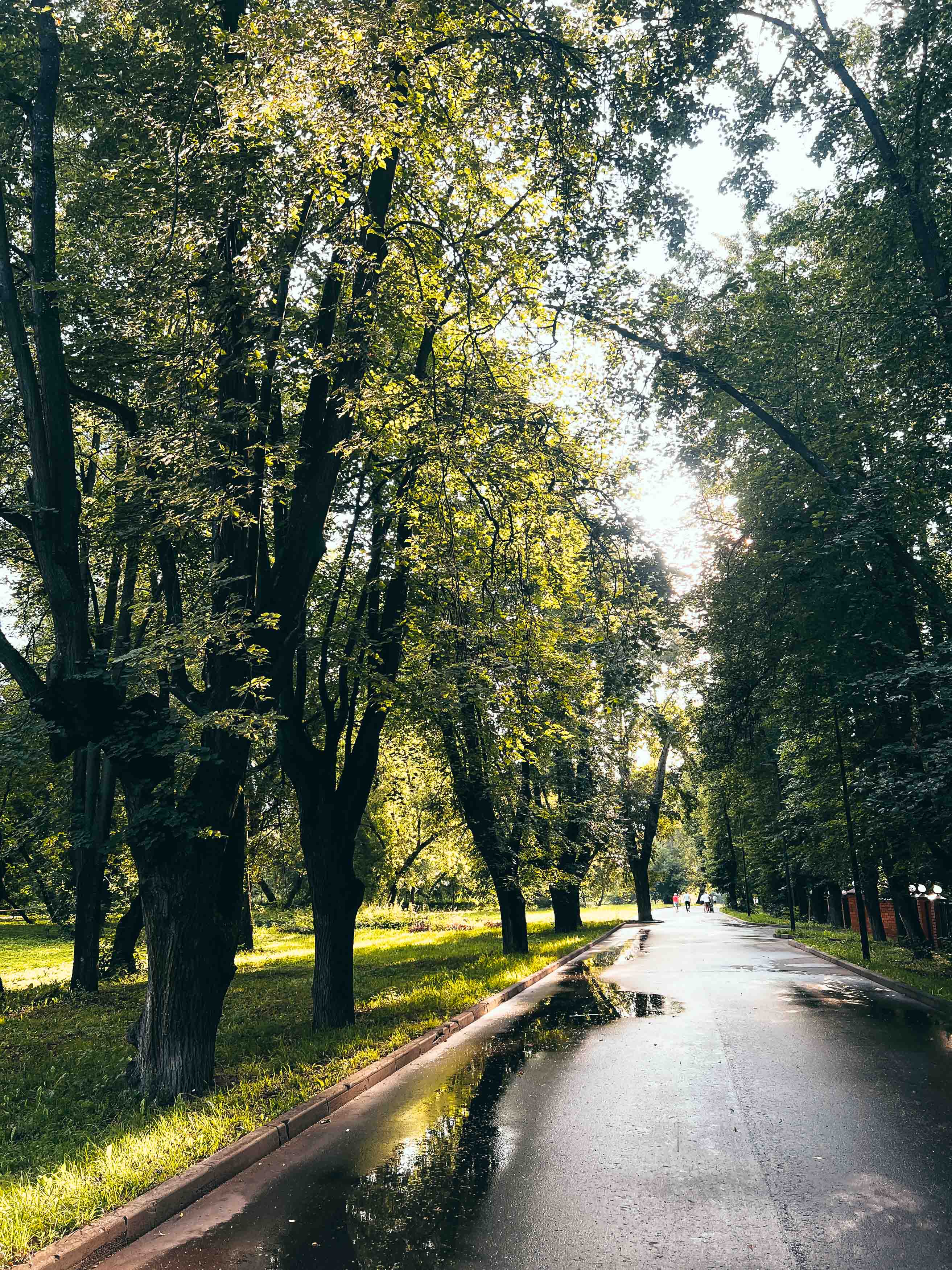 Прогулочная аллея Люблинского парка