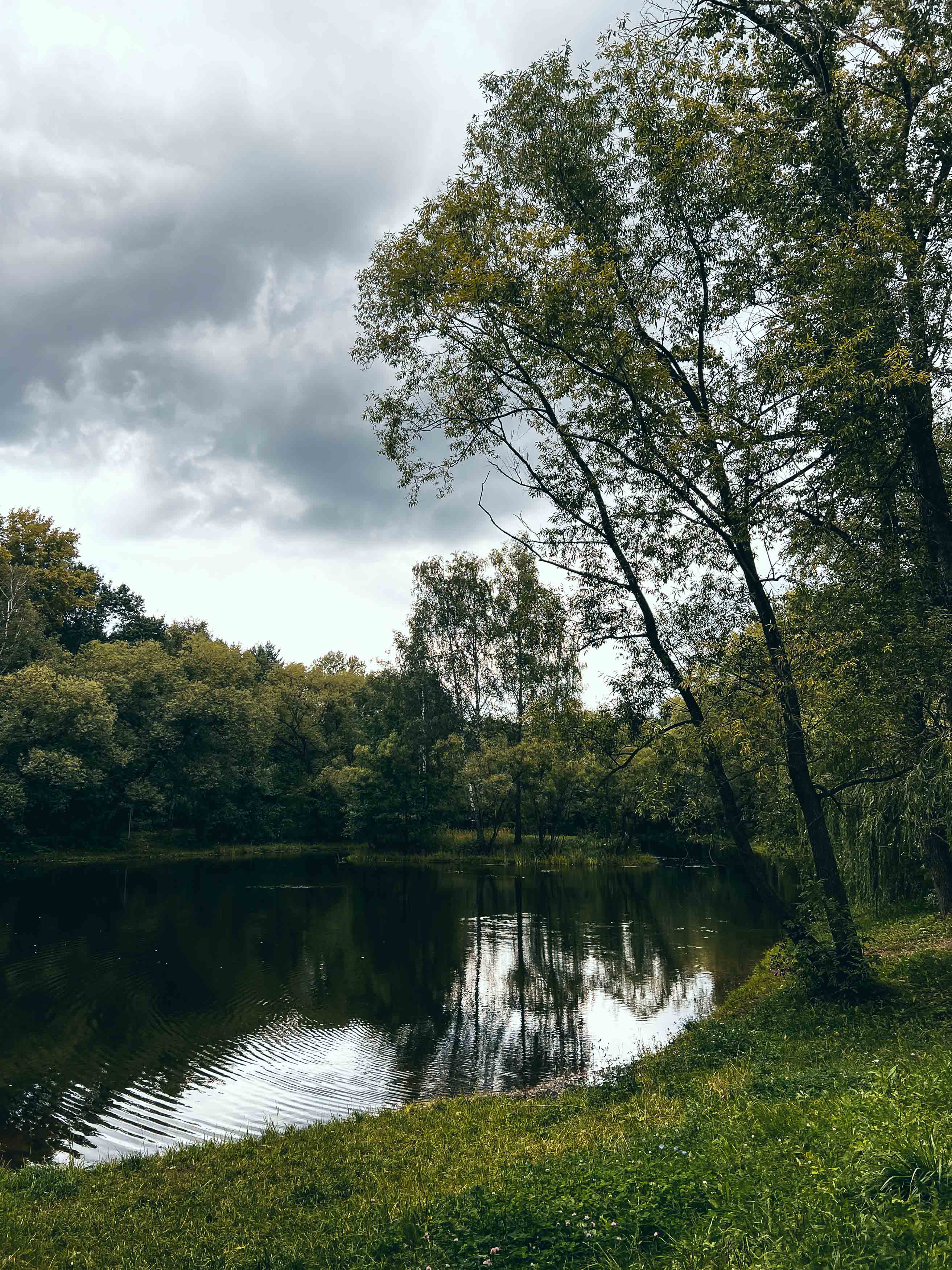 Вода и деревья у Радужных прудов