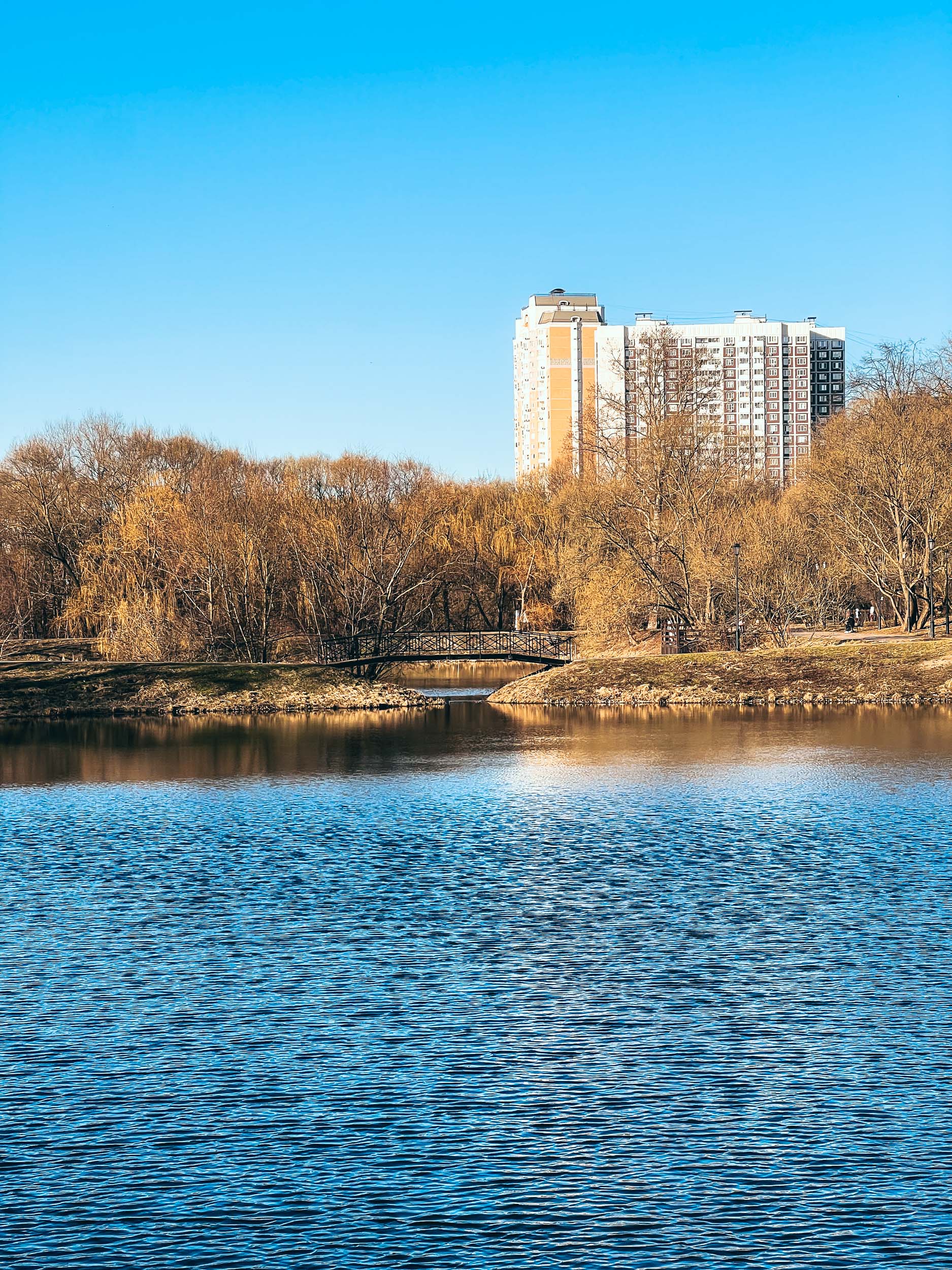 Водоём и берега Лазоревых прудов