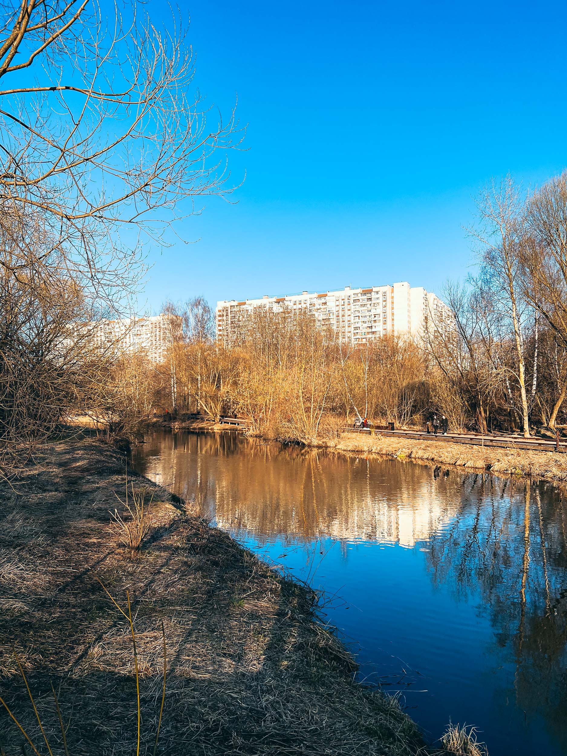 Вода и прибрежная зелень в ясный осенний день