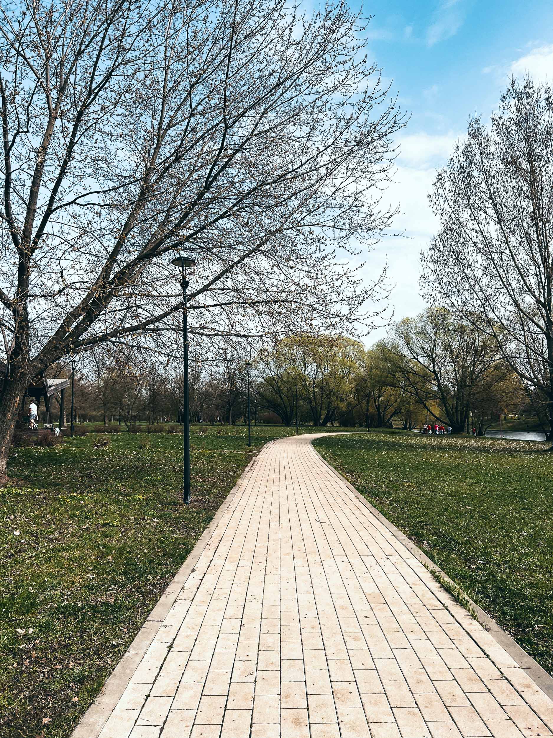 Широкая дорожка среди зелени в парке «Южное Бутово»
