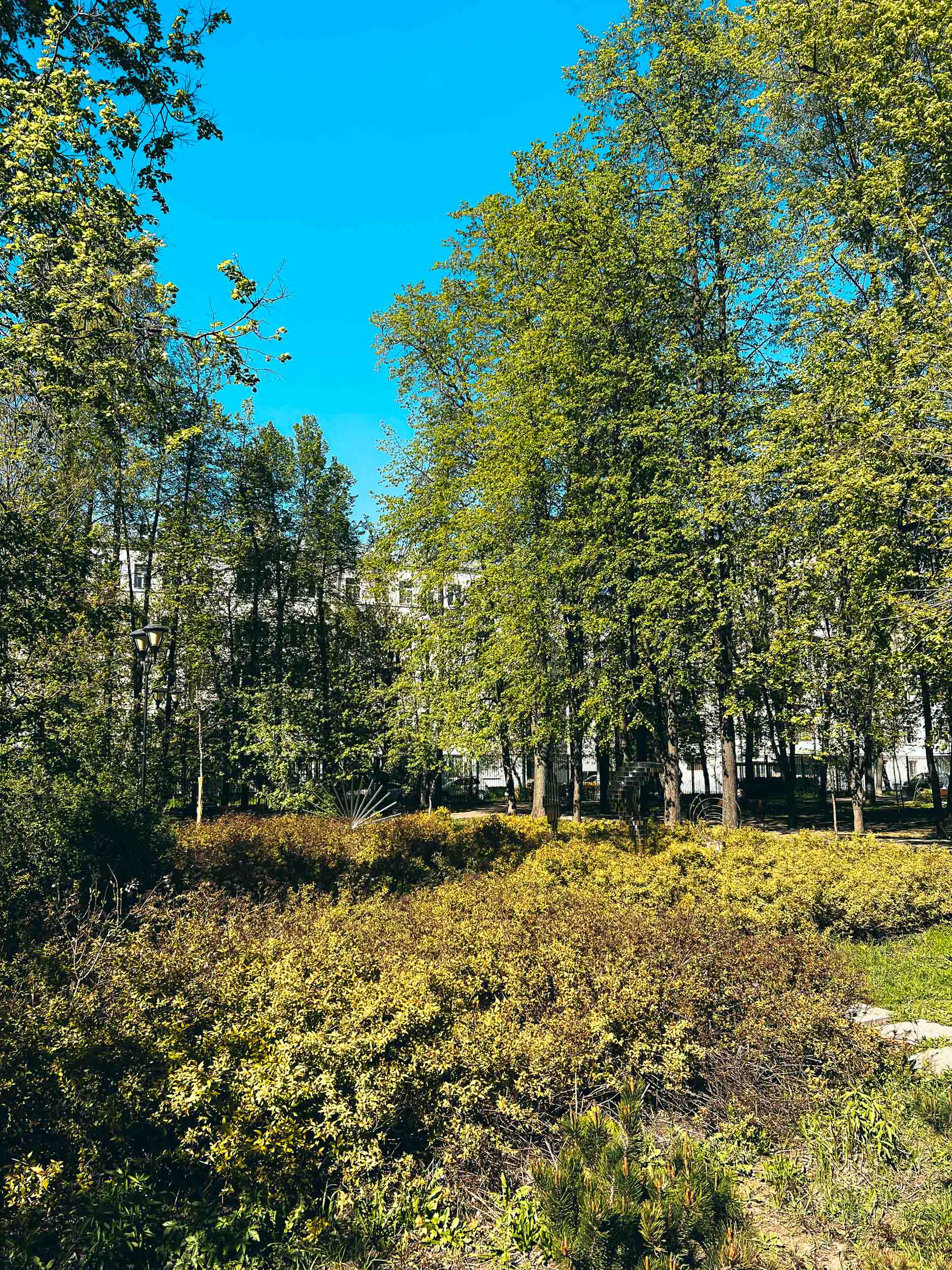 Новослободский парк