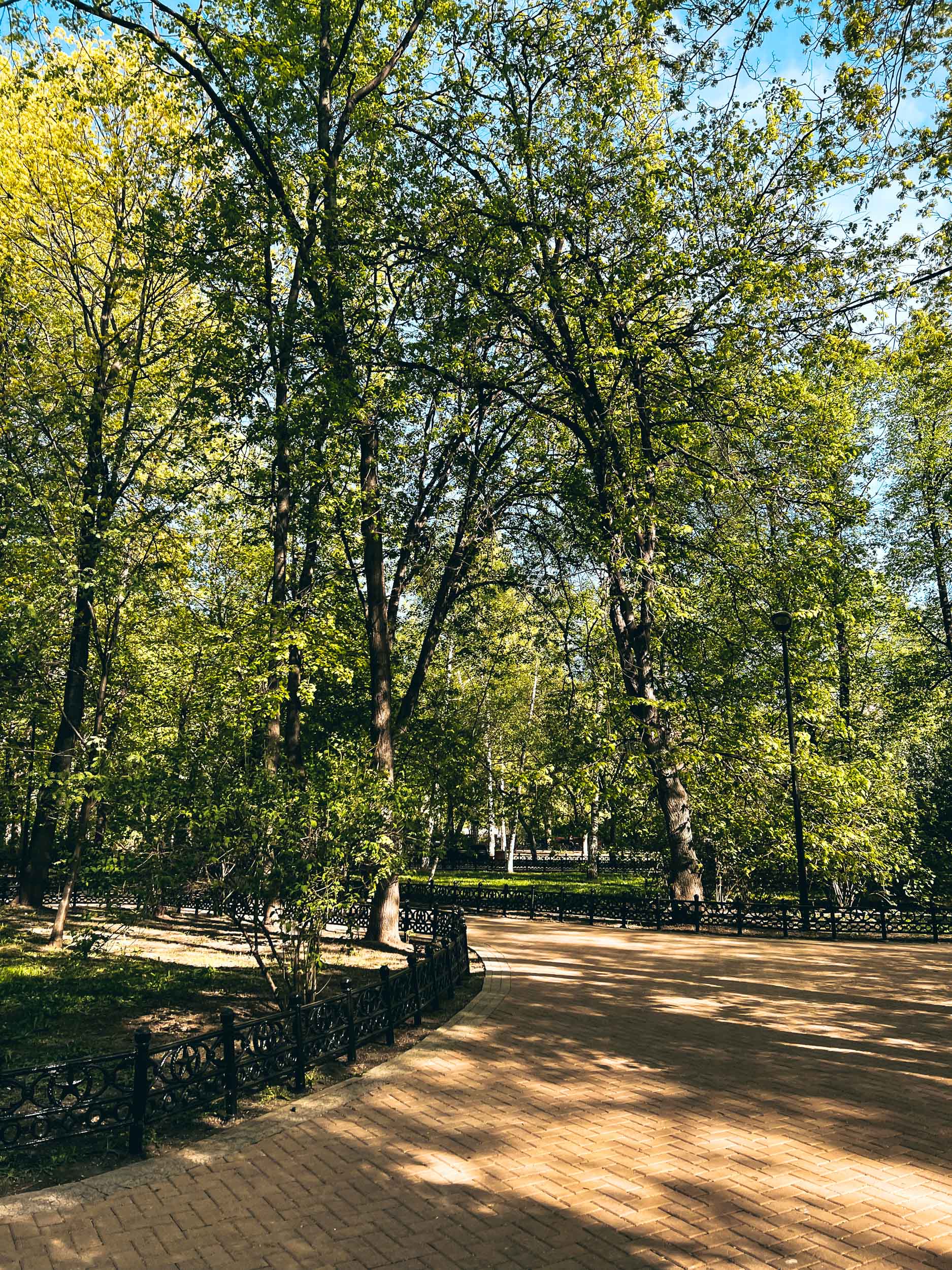 Скамейки и широкая дорожка в зелёной части сквера