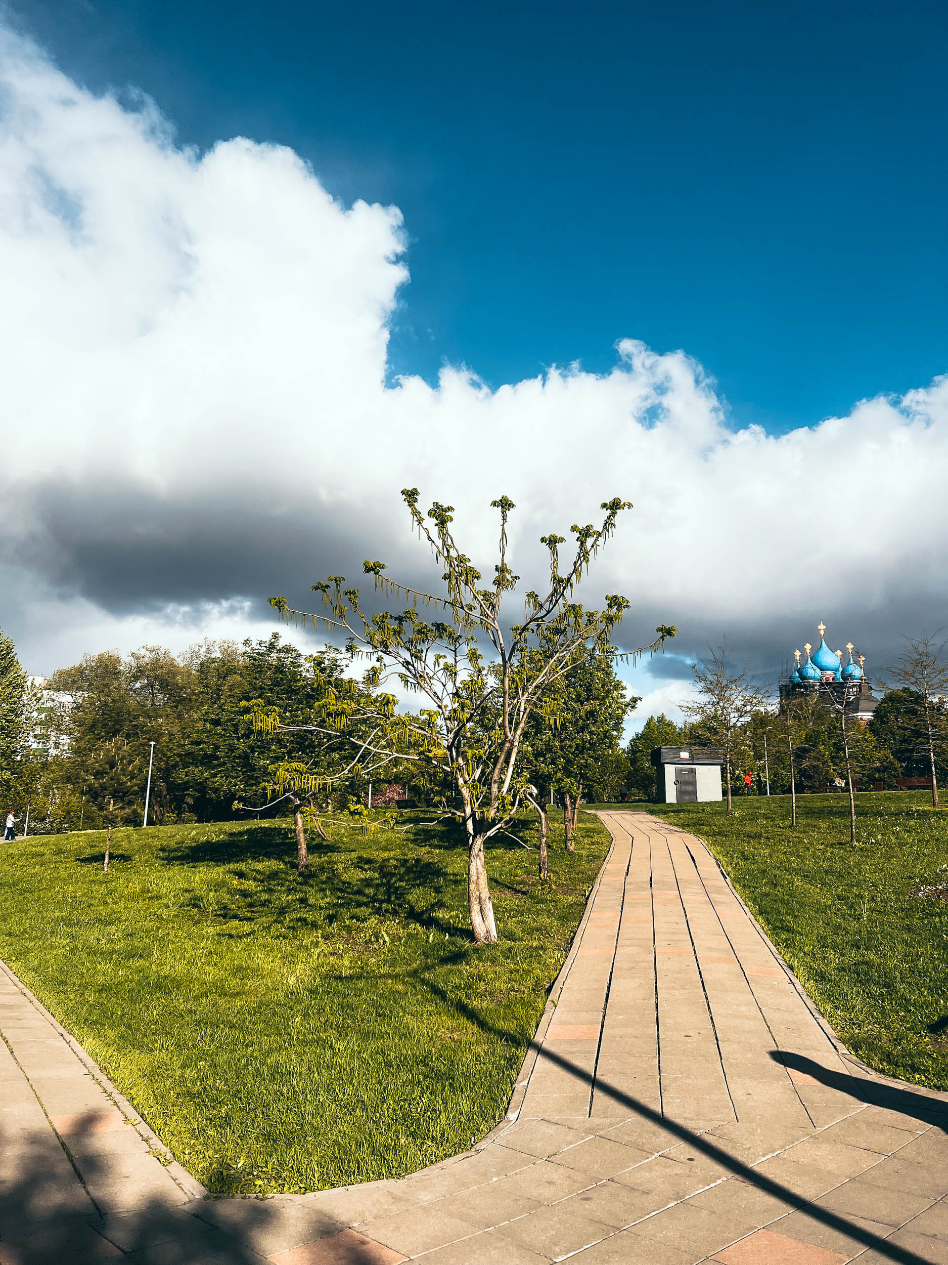 Парк культуры и отдыха «Алексеевская горка»