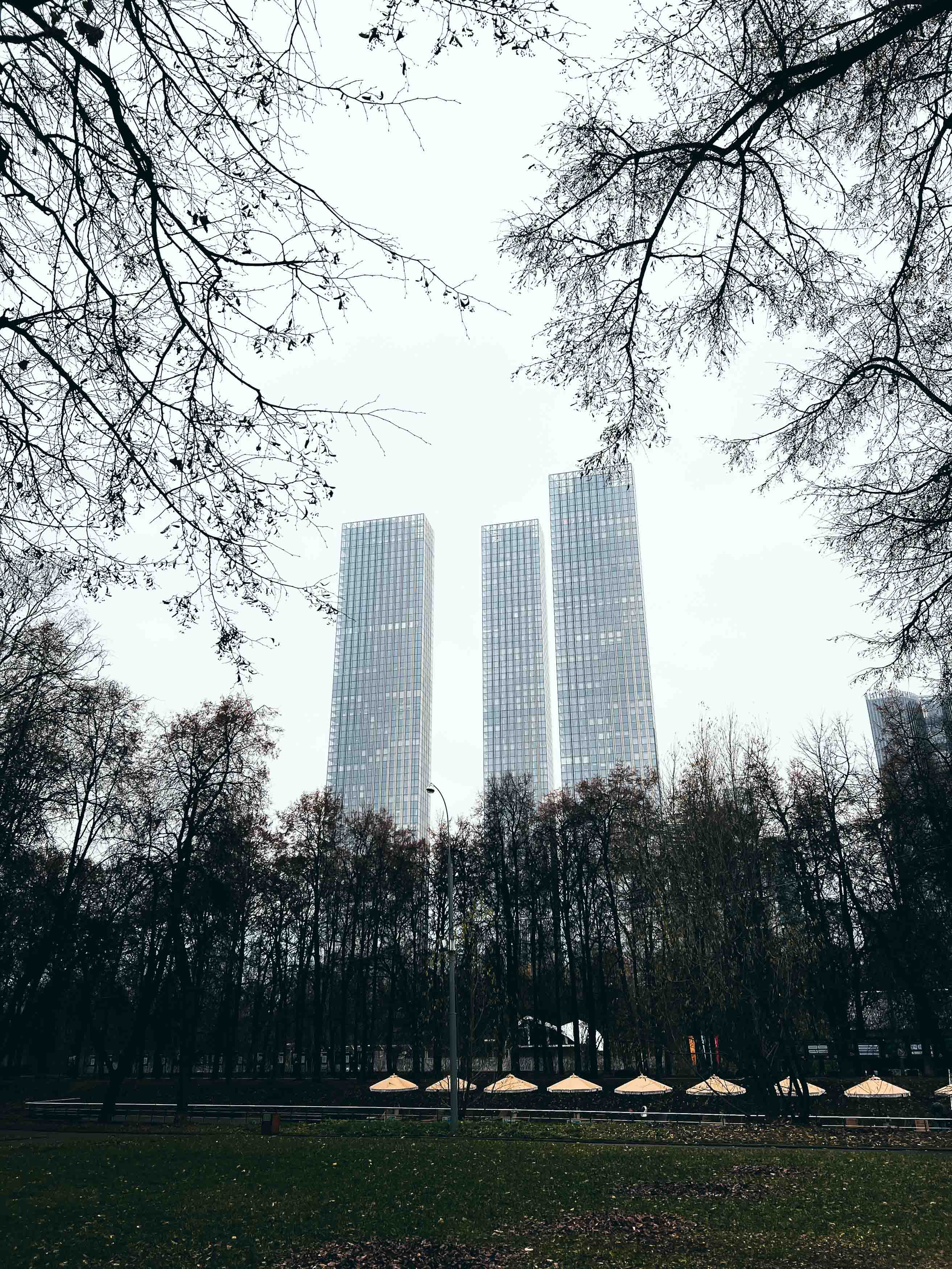 Архивный вид парка в ноябре 2025 года: деревья и башни Москва-Сити