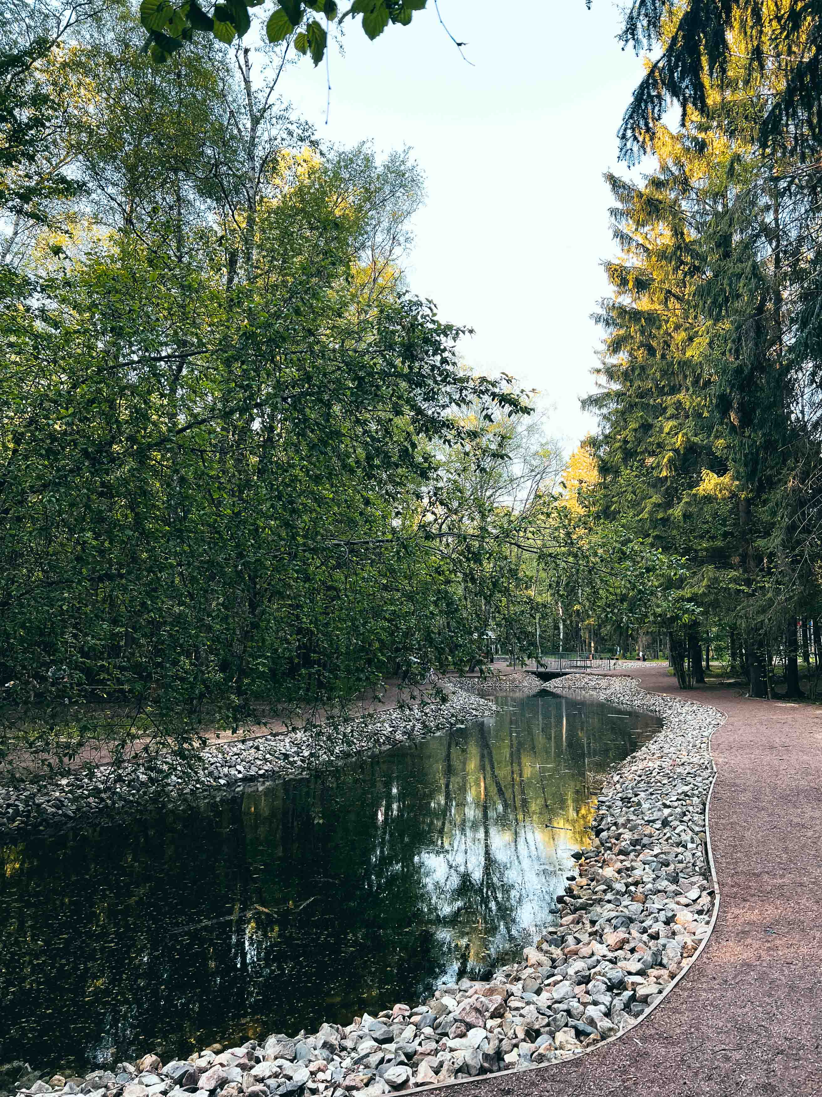 Дорожка вдоль небольшого водоёма в Боровском парке