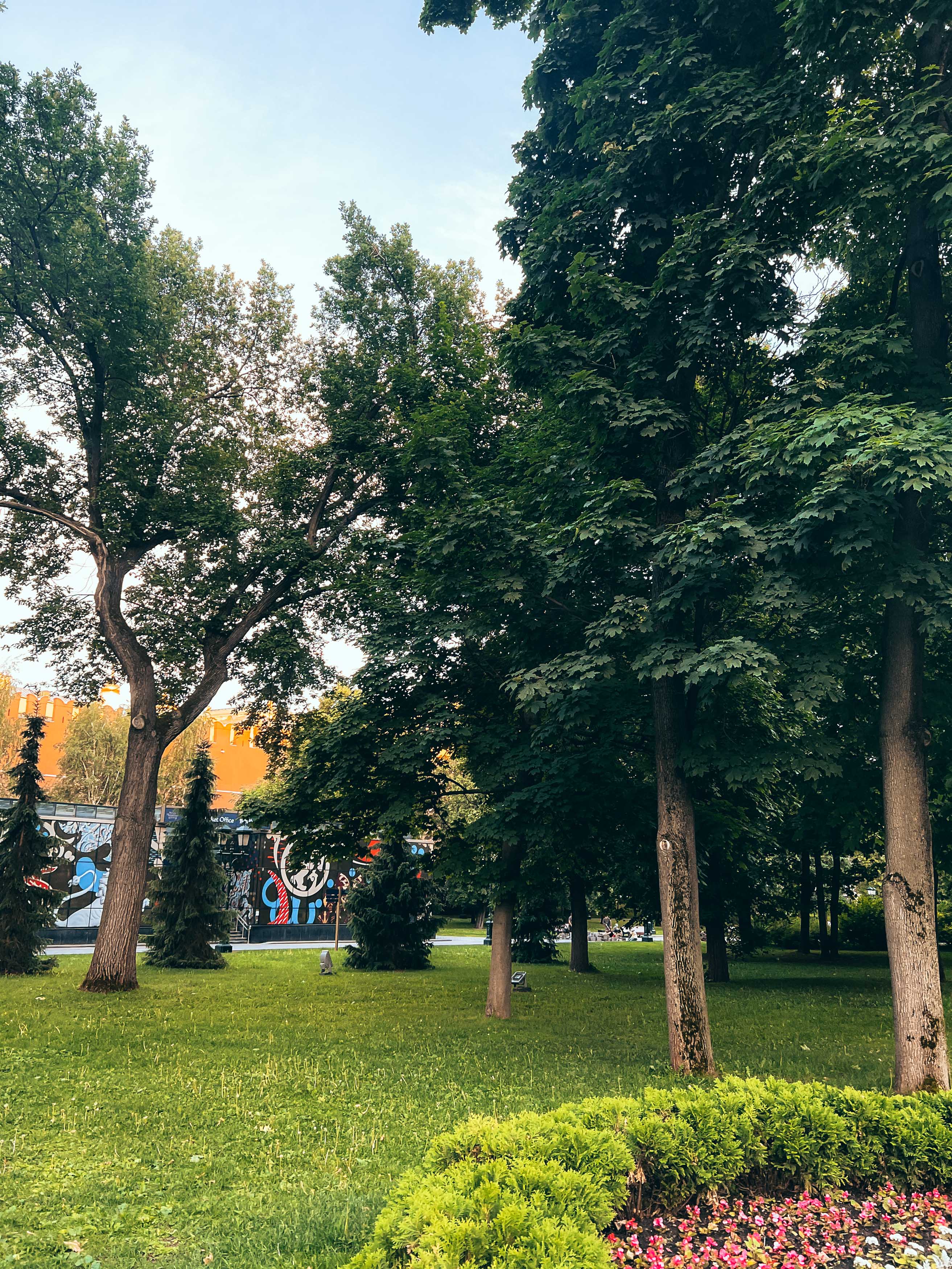 Зелень и прогулочные дорожки Александровского сада