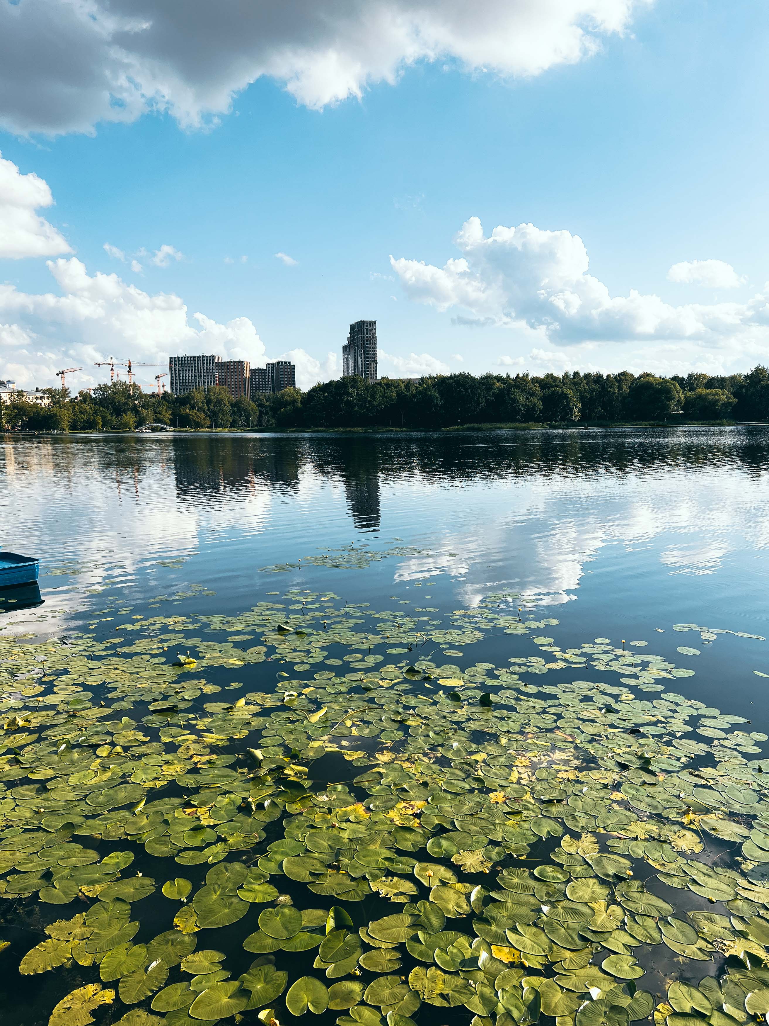 Водная растительность и отражения на Большом Головинском пруду