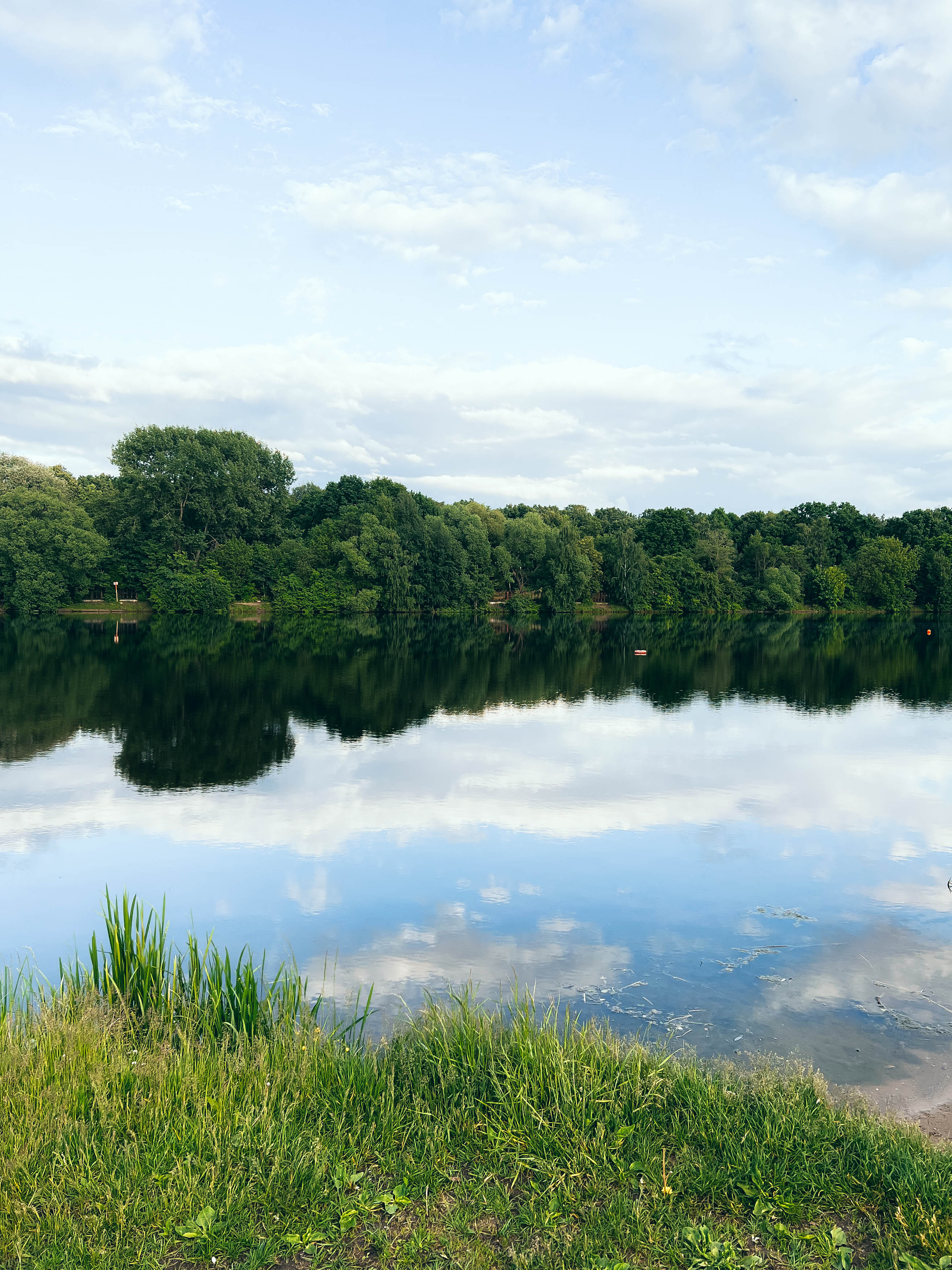 Зелёный берег Большого Садового пруда и отражения в воде
