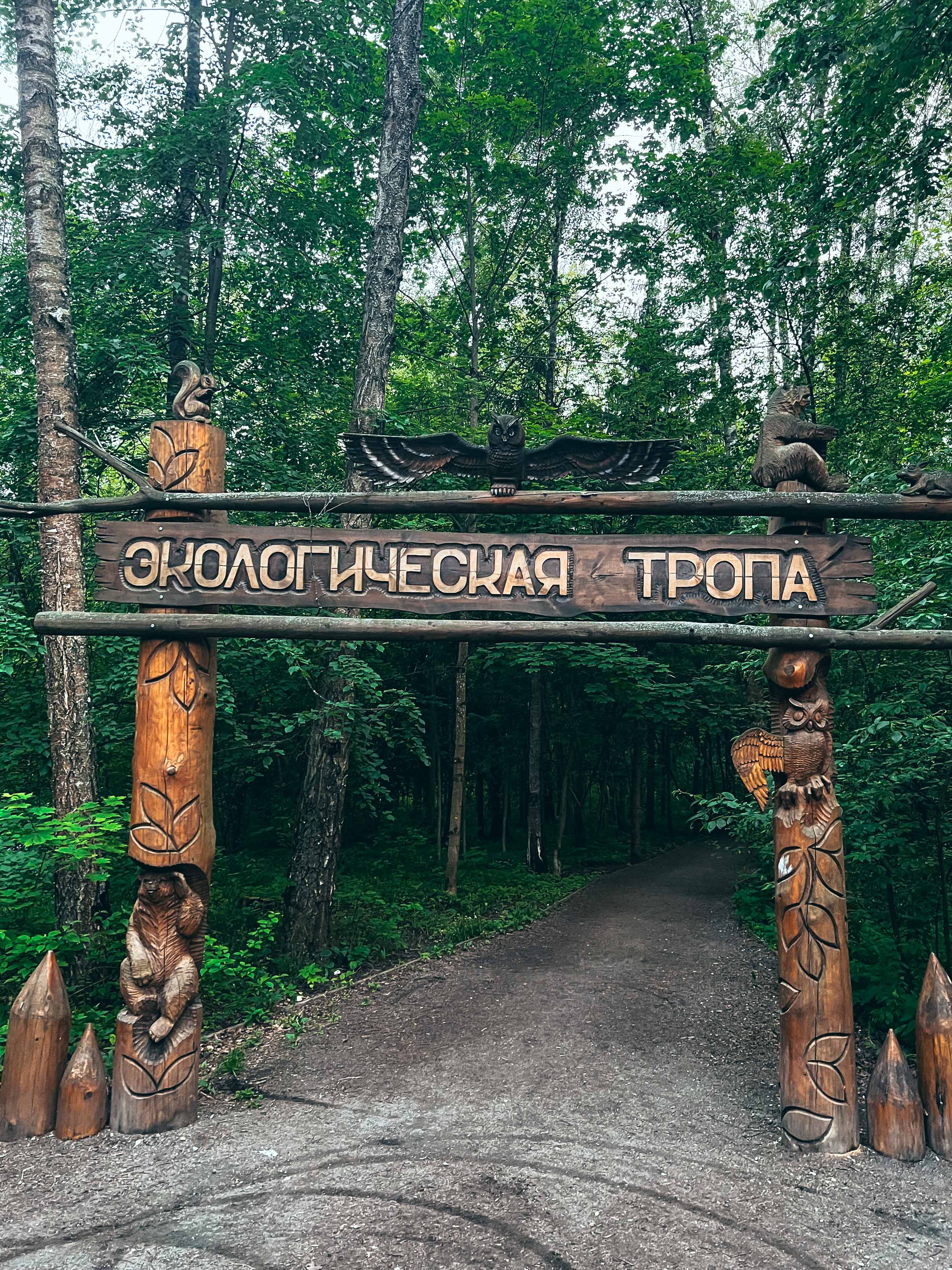 Деревянный входной знак экологической тропы