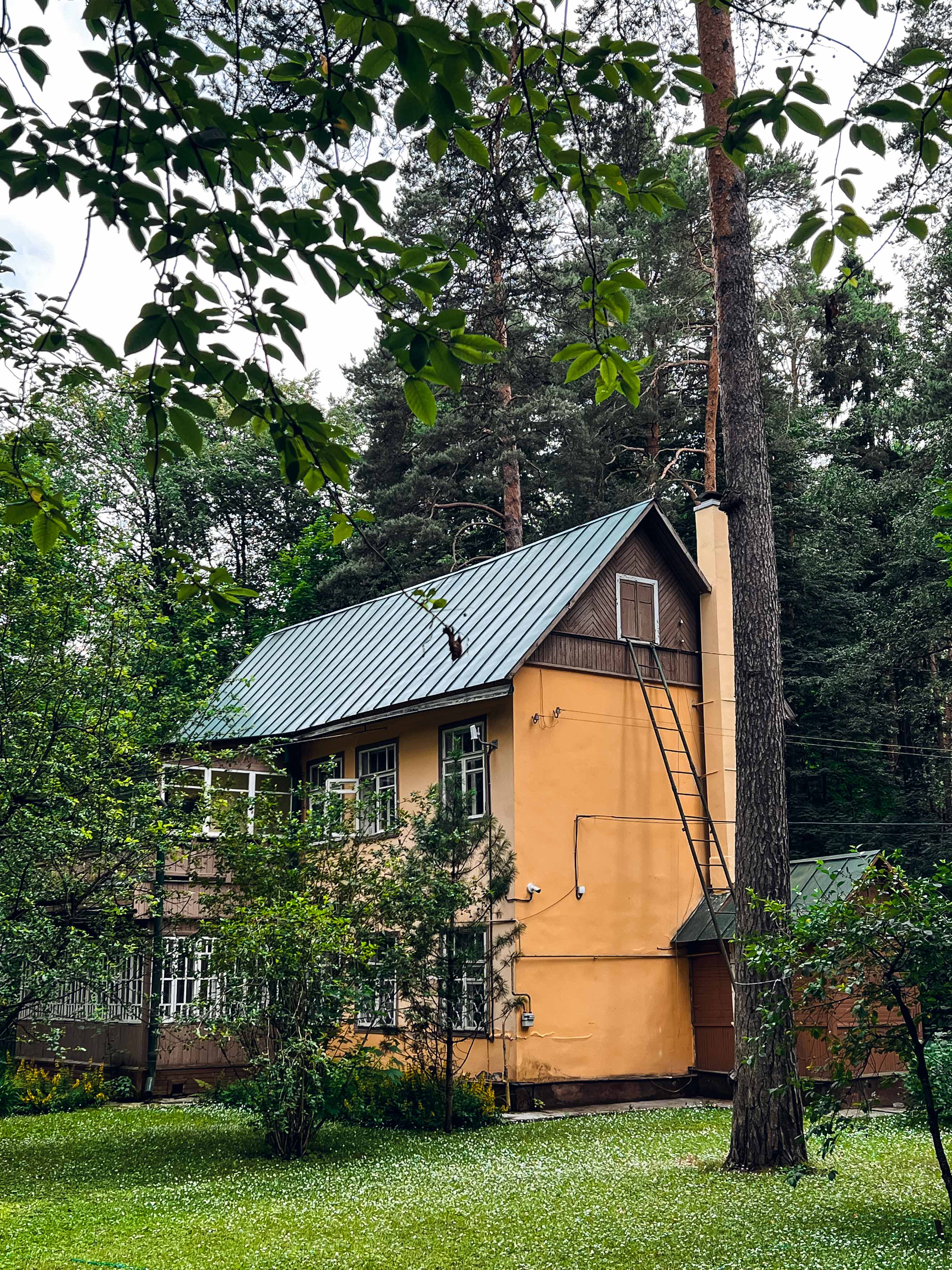 Дача среди деревьев писательского участка