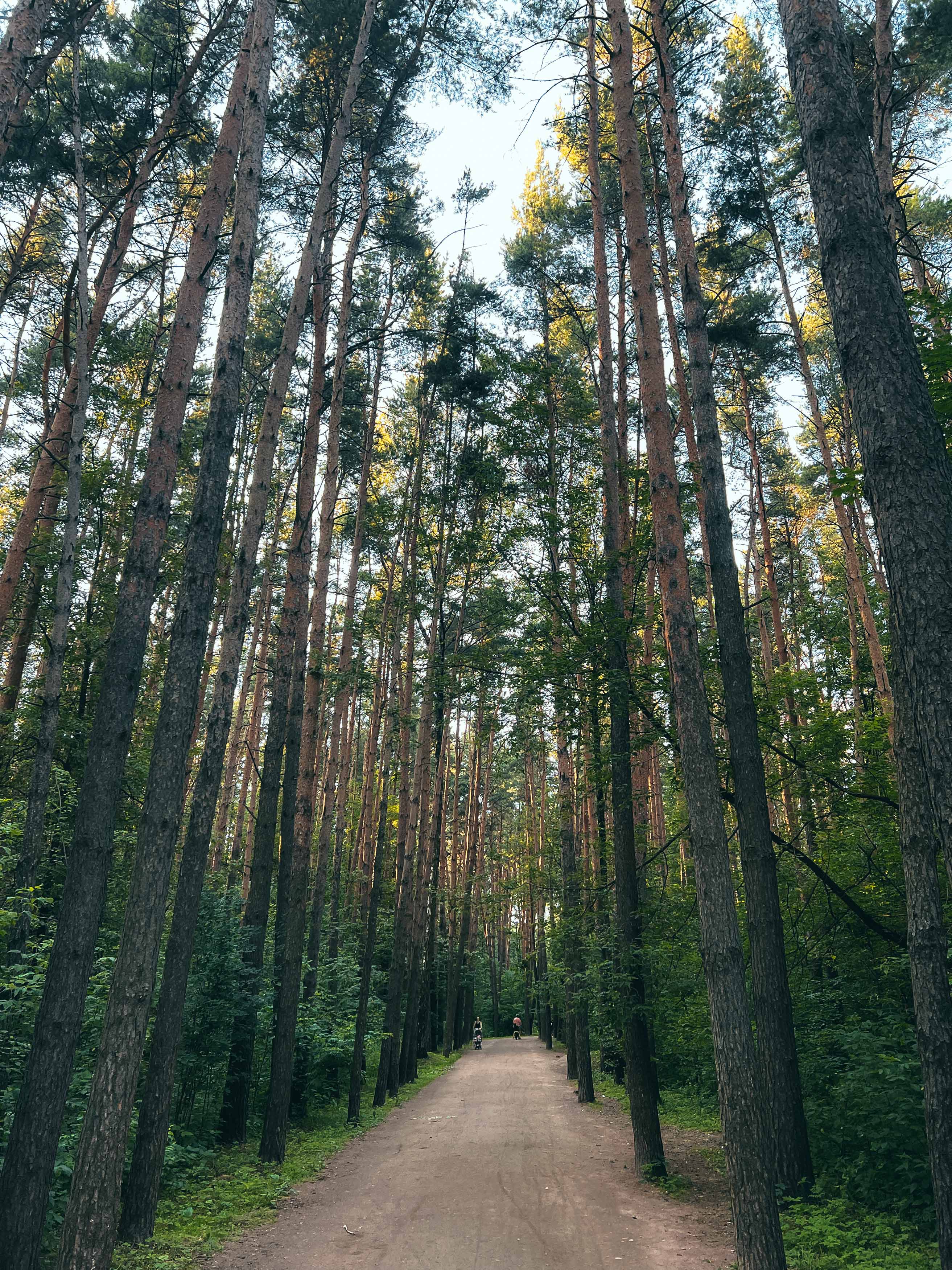 Мещерский парк