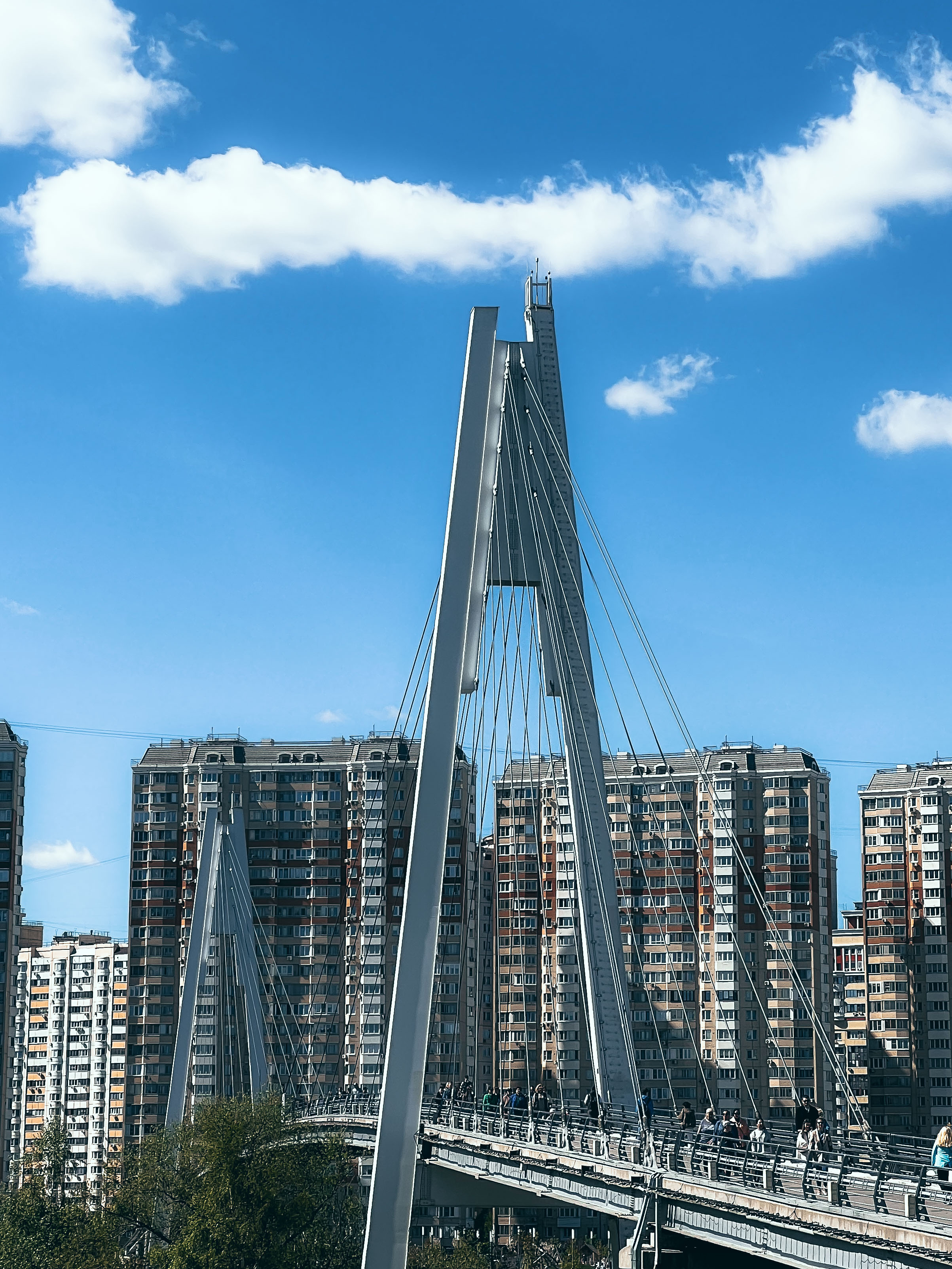Павшинский мост и застройка на берегу Москвы-реки