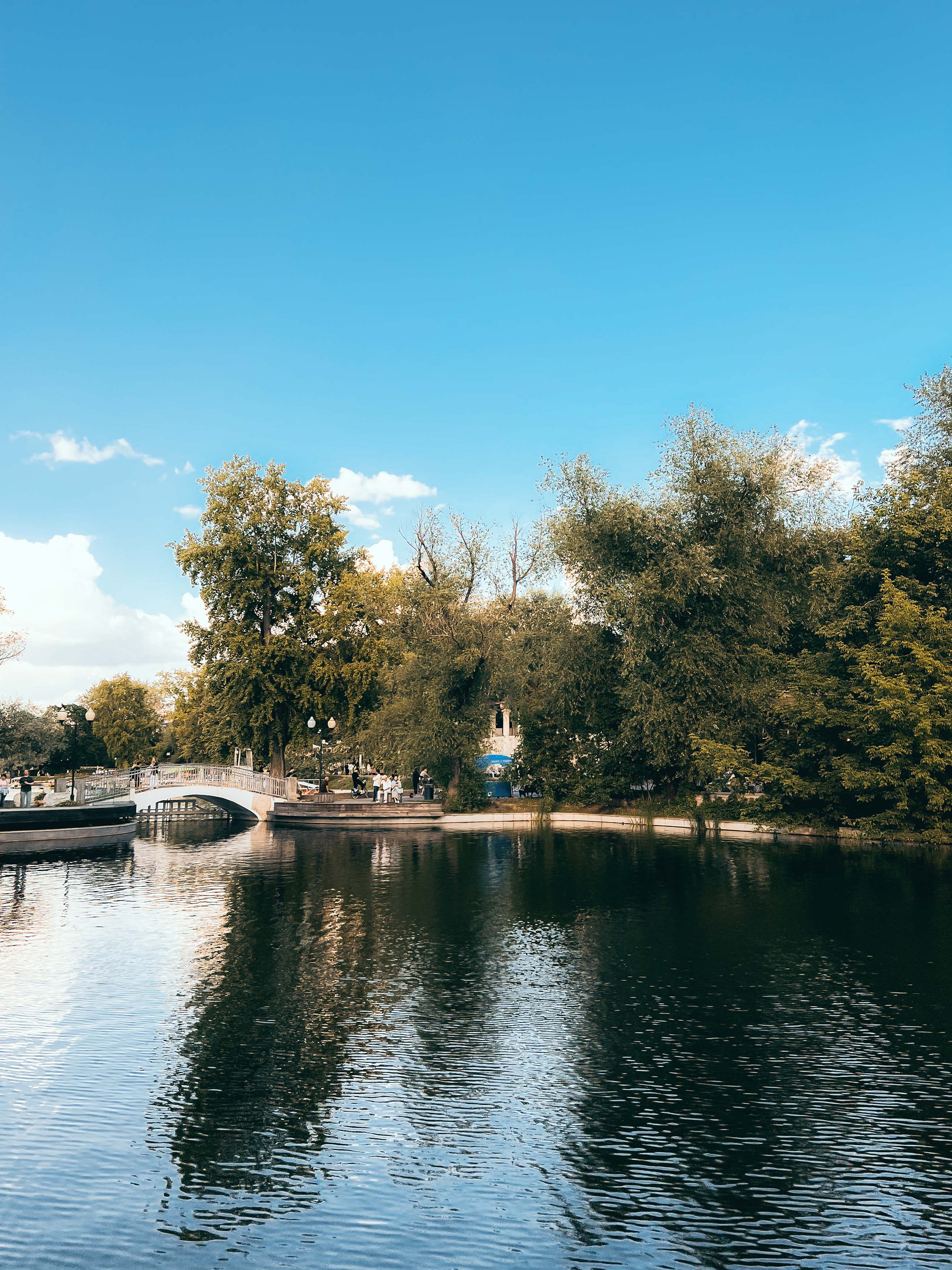 Голицынский пруд: вода, деревья и открытый берег